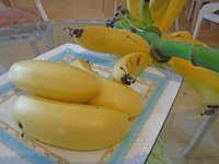 黄色く実ったバナナ