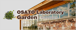 OSATO Laboratory Garden